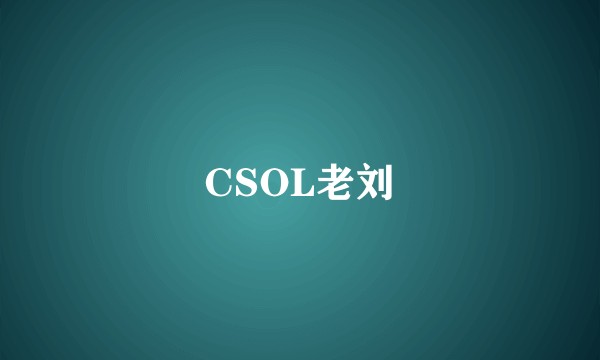 CSOL老刘