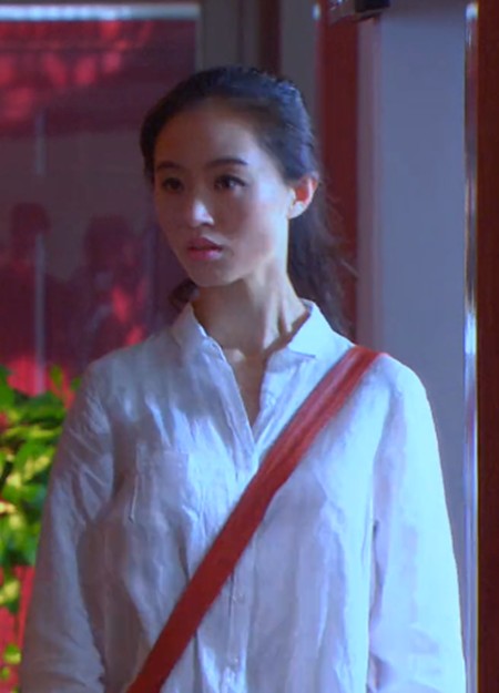 杨镜（公安题材剧《暗战》中的角色）