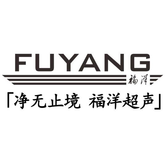 深圳福洋科技集团有限公司