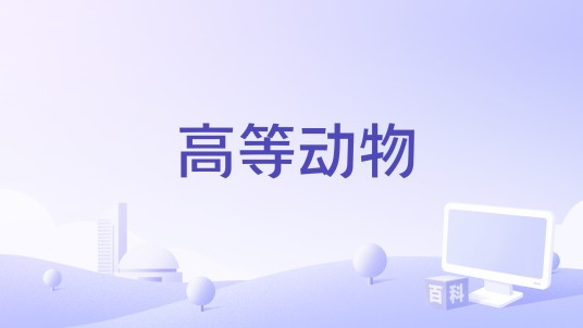 高等动物(2020年侯璎珏、丁韶仪主演电影)