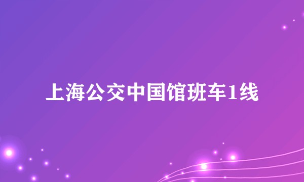 上海公交中国馆班车1线