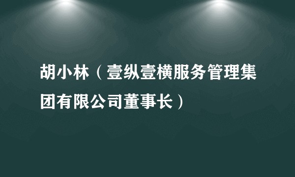 胡小林(壹纵壹横服务管理集团有限公司董事长)