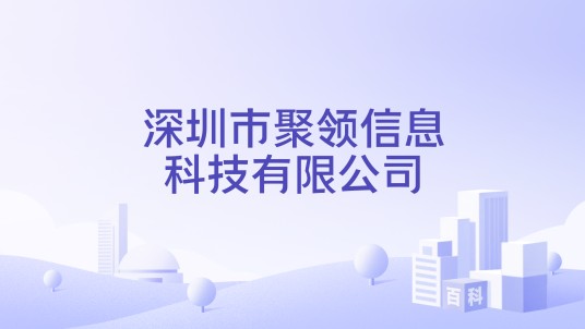 深圳市聚领信息科技有限公司