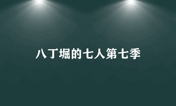 八丁堀的七人第七季