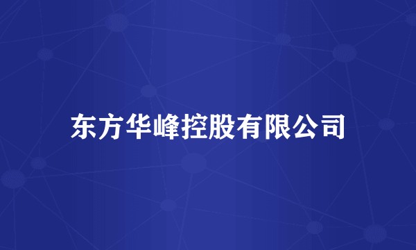 东方华峰控股有限公司