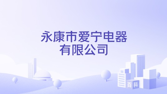 永康市爱宁电器有限公司