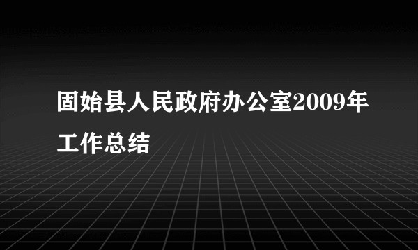 固始县人民政府办公室2009年工作总结
