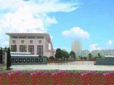 龙洲小学