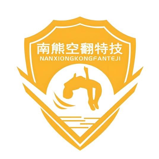 广东佛山空翻特技速成培训