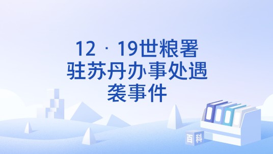 12·19世粮署驻苏丹办事处遇袭事件