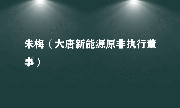 朱梅（大唐新能源原非执行董事）