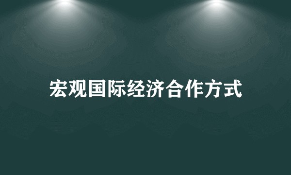 宏观国际经济合作方式