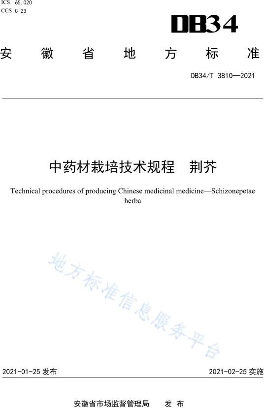 中药材栽培技术规程—荆芥