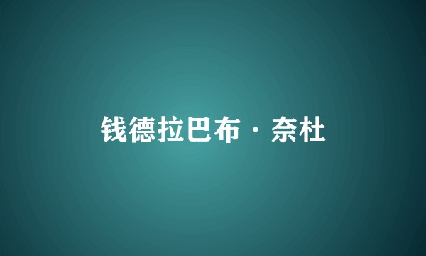 钱德拉巴布·奈杜