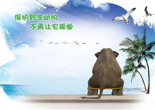 国家保护的有重要生态、科学、社会价值的陆生野生动物名录