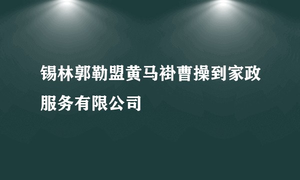 锡林郭勒盟黄马褂曹操到家政服务有限公司