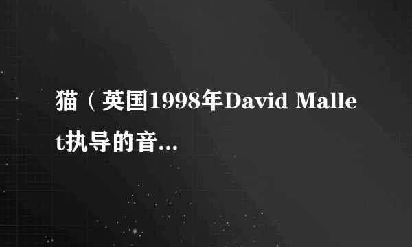 猫（英国1998年David Mallet执导的音乐电影）