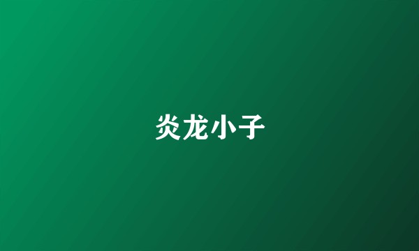 炎龙小子