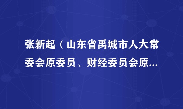 张新起(山东省禹城市人大常委会原委员、财经委员会原主任委员)
