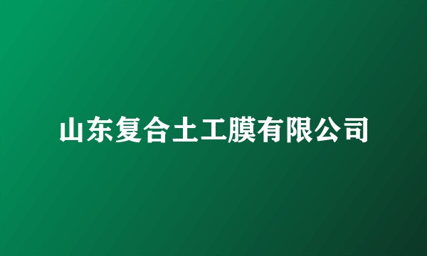 山东复合土工膜有限公司