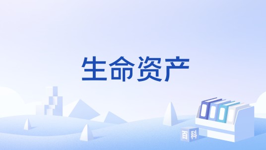 生命资产