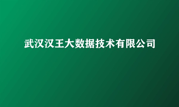 武汉汉王大数据技术有限公司