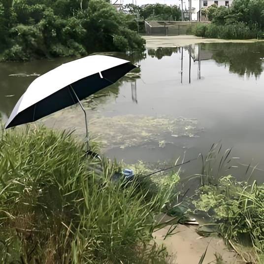 游钓大师