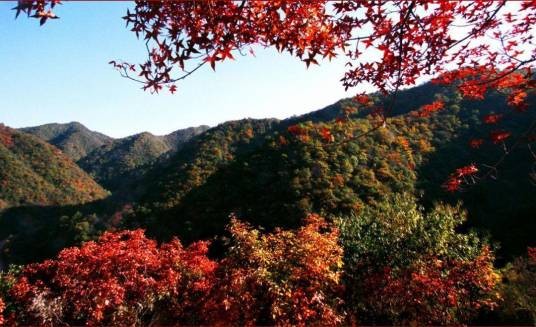 阳泉翠枫山