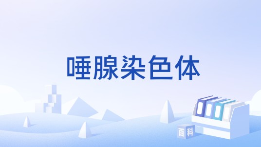 唾腺染色体