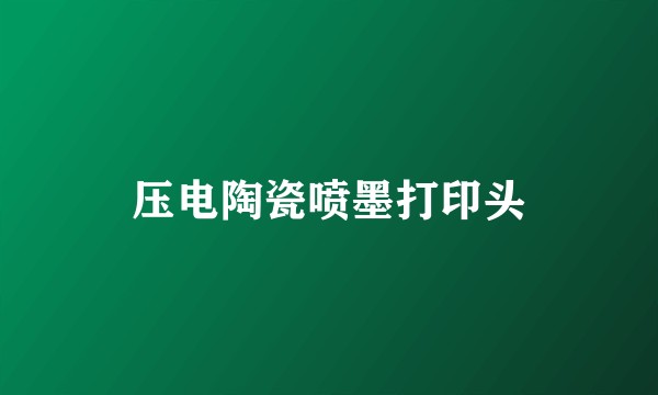 压电陶瓷喷墨打印头
