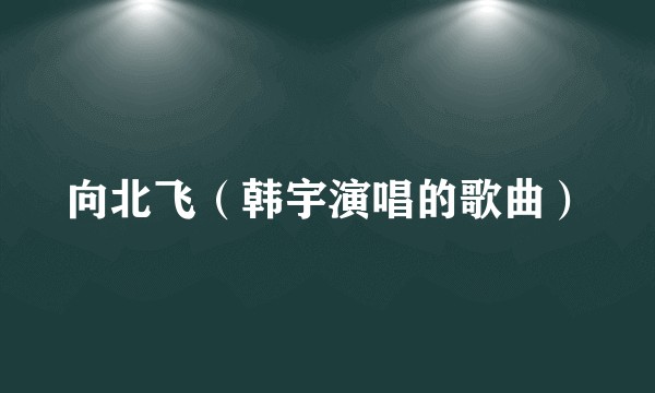 向北飞（韩宇演唱的歌曲）