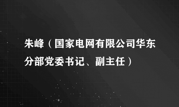 朱峰（国家电网有限公司华东分部党委书记、副主任）