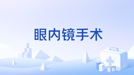 眼内镜手术