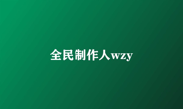 全民制作人wzy