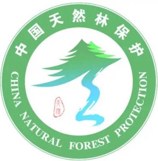 天然林保护