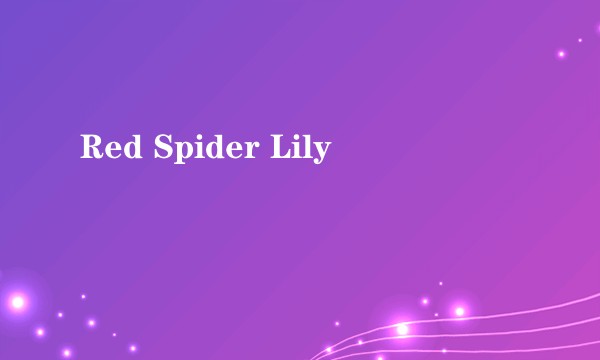 Red Spider Lily