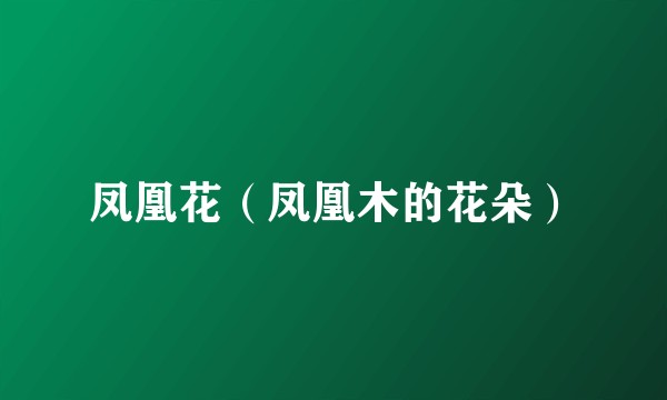 凤凰花(凤凰木的花朵)