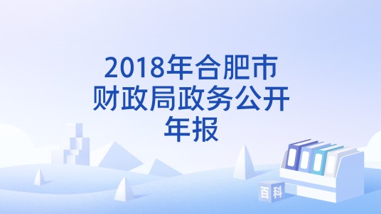 2018年合肥市财政局政务公开年报