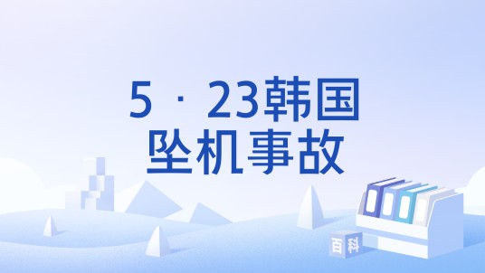 5·23韩国坠机事故