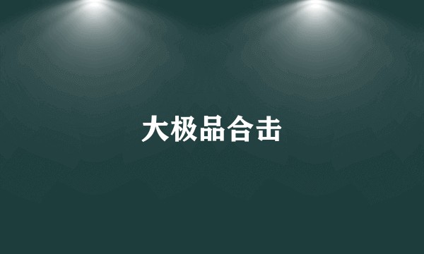大极品合击