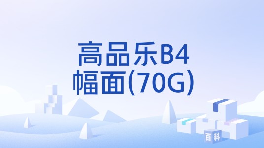 高品乐B4幅面(70G)