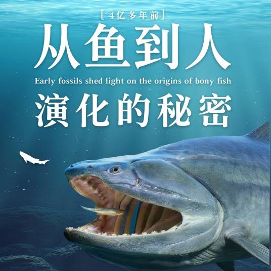 从鱼到人