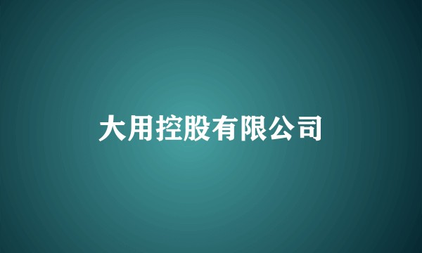 大用控股有限公司