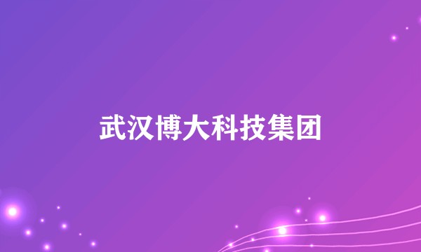 武汉博大科技集团