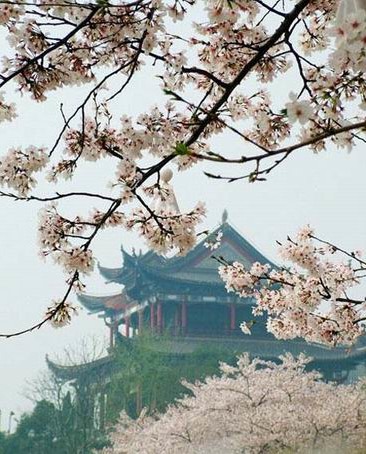 武汉市晴川阁管理处