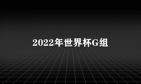 2022年世界杯G组
