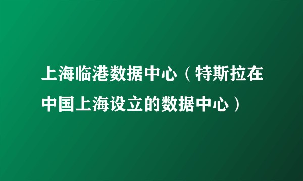 上海临港数据中心（特斯拉在中国上海设立的数据中心）