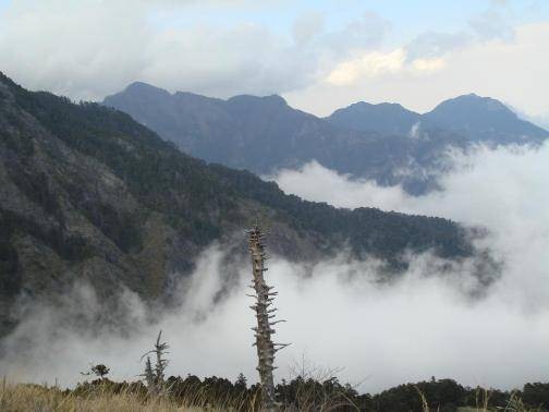 东峰尖(鄂、豫、皖交界处的山峰)