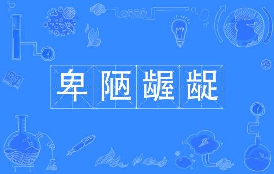 卑陋龌龊