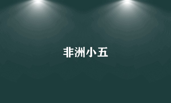 非洲小五
